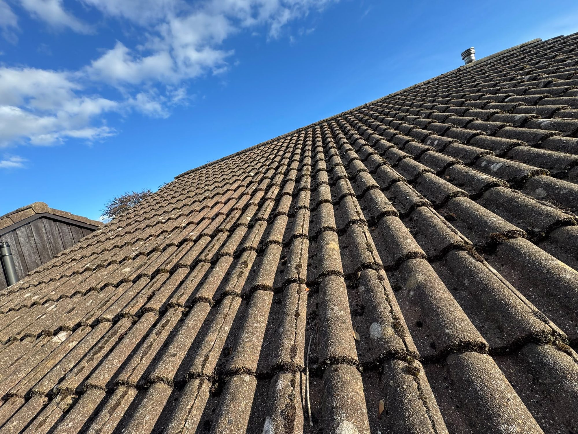 Moss-covered roof tiles before roof cleaning in Lymington