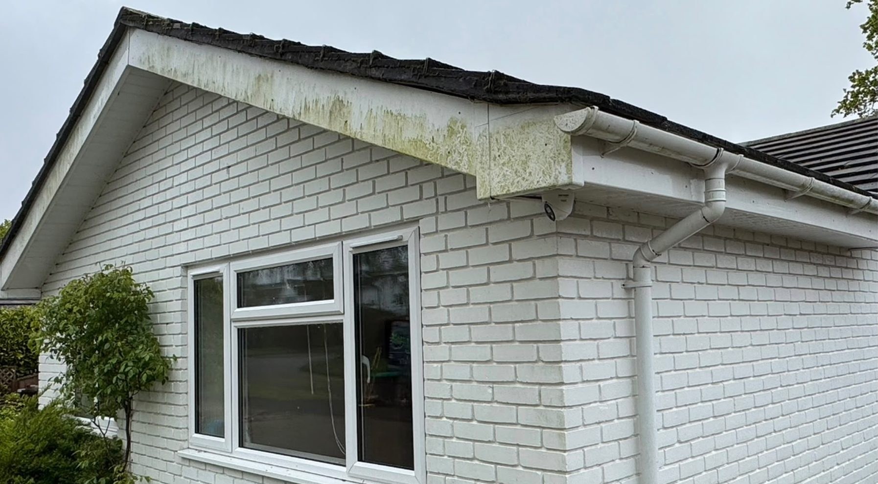 Gutter, fascia and soffit cleaning before and after on a white bungalow in Lymington - before