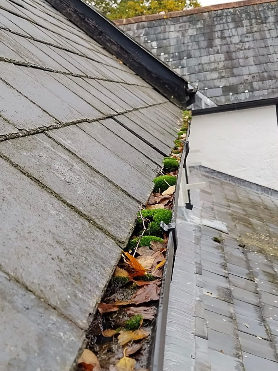 Blocked valley gutter cleared of leaves before and after in the New Forest - before