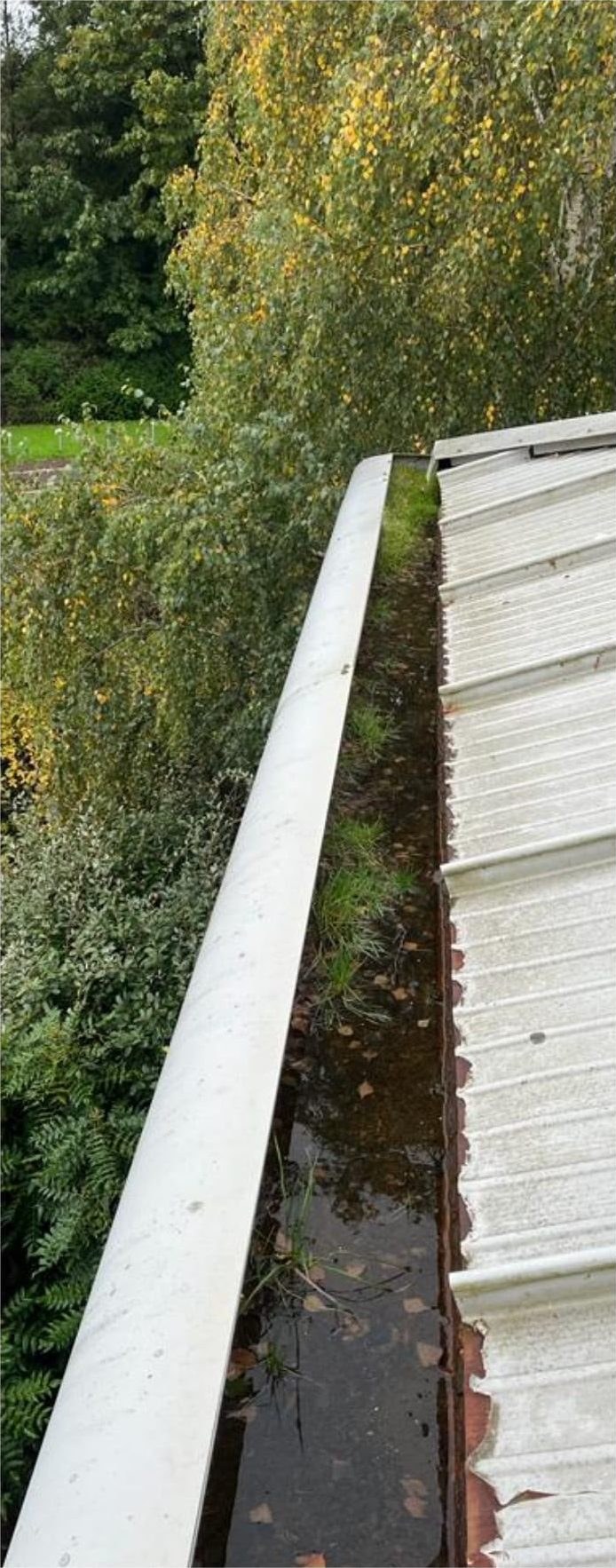 Gutter clearing before and after, grass and debris cleared from a gutter in Lymington - before